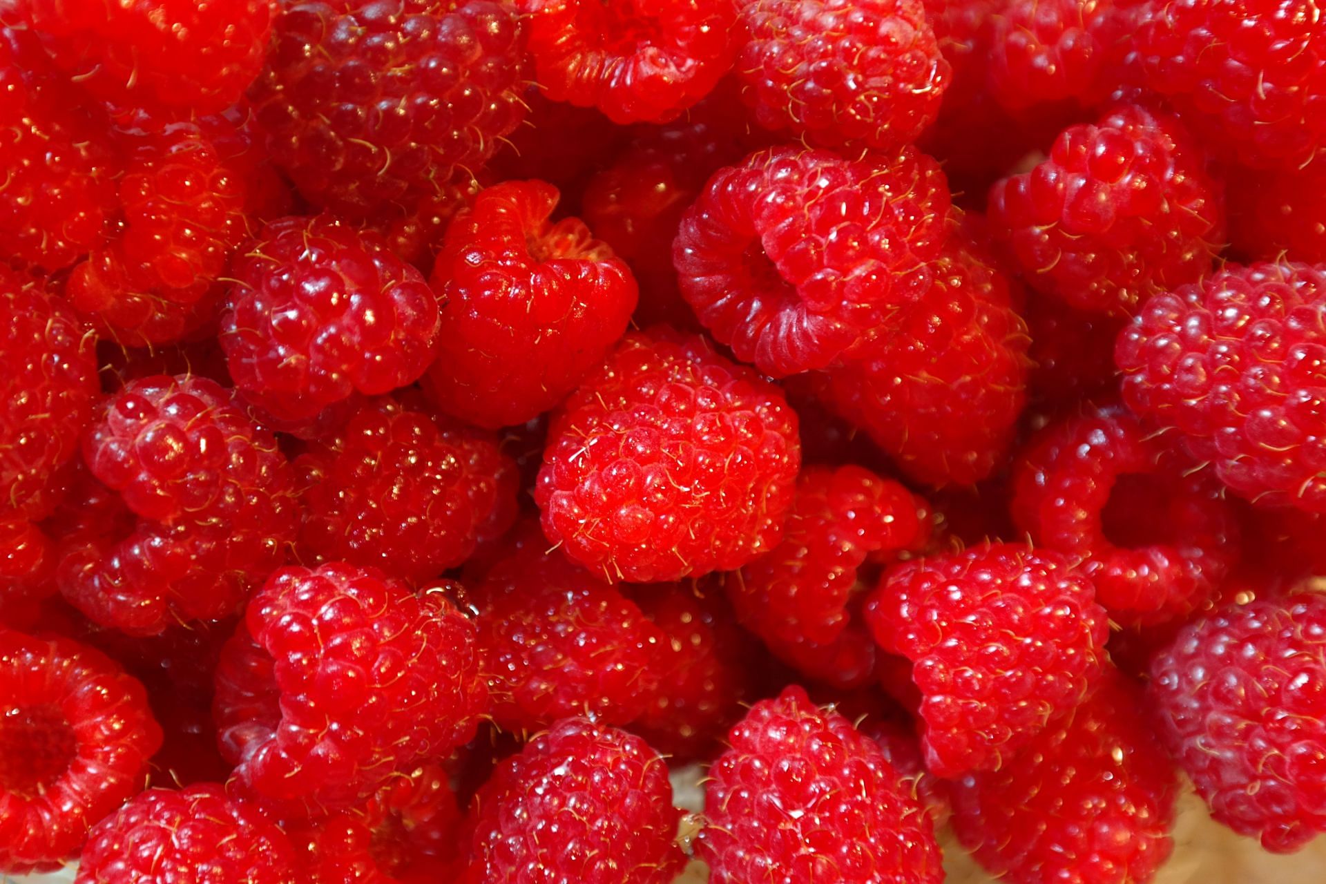 Berries for weight loss (Image via Pexels/Pixabay)
